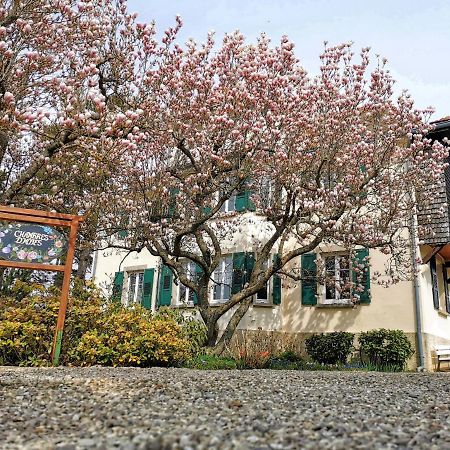 La Tirelire Bed and Breakfast Cosswiller Exteriör bild