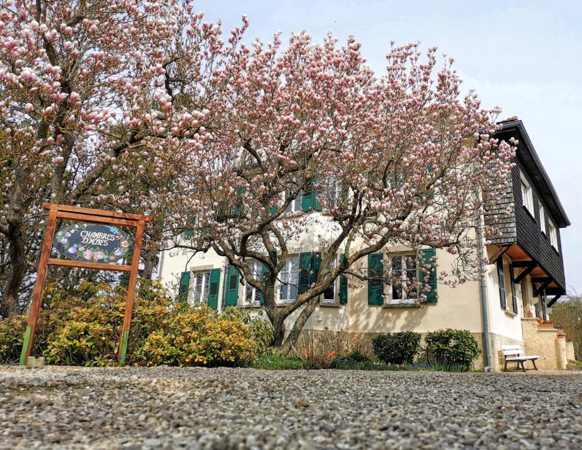 La Tirelire Bed and Breakfast Cosswiller Exteriör bild