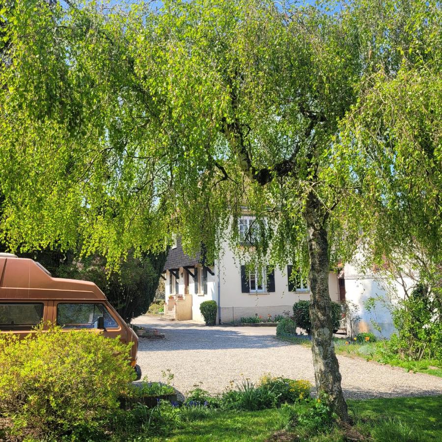 La Tirelire Bed and Breakfast Cosswiller Exteriör bild
